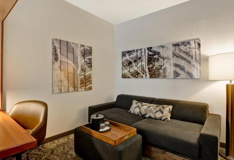 Студия Стандарт, Springhill Suites By Marriott Cincinnati Midtown