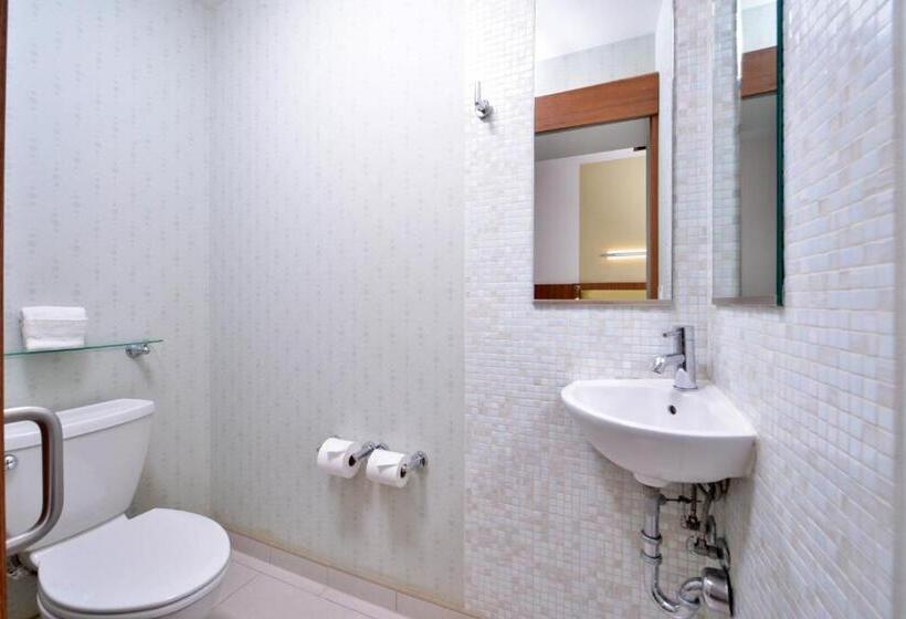 스탠다드 스튜디오, Springhill Suites Kingman Route 66