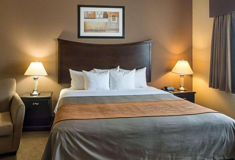 Номер Стандарт Кровать Кинг Адаптированный для Инвалидов, Comfort Inn I20 Midland Stanton