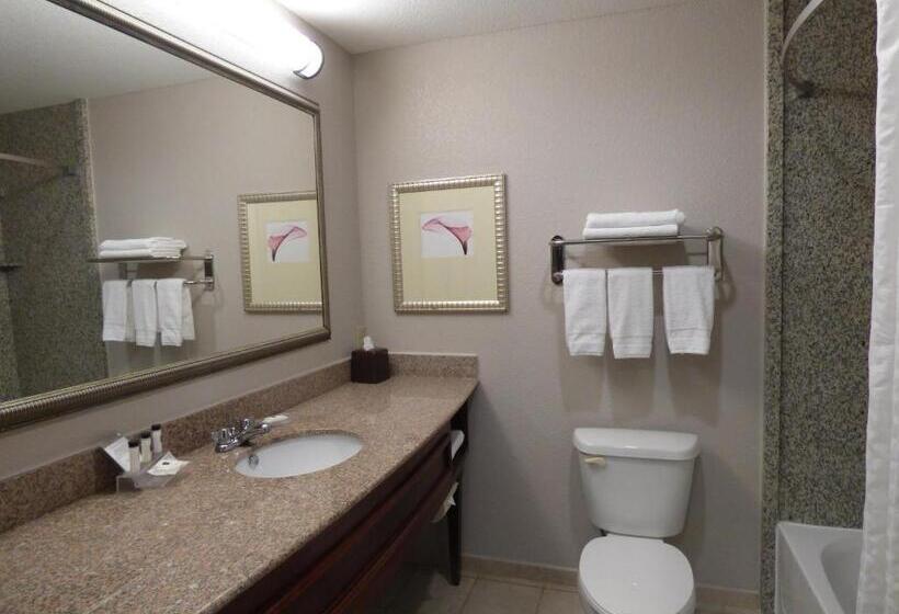 Номер Стандарт, Country Inn & Suites By Radisson, Pensacola West, Fl