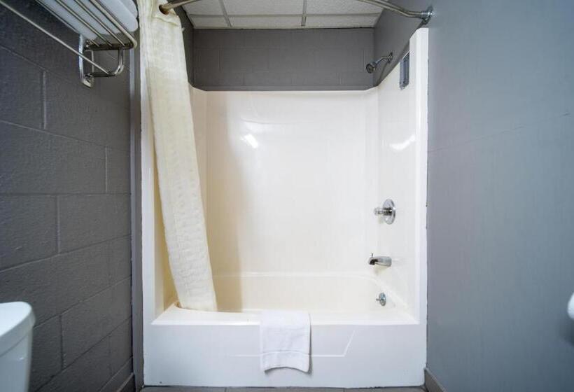 Стандартный Номер Кровать Кинг, Sleep Ees Inn, Saginaw & Shields