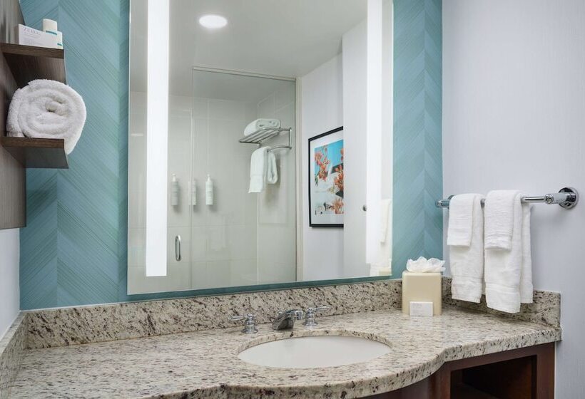 جناح جونيور, Hilton Garden Inn Atlanta Midtown