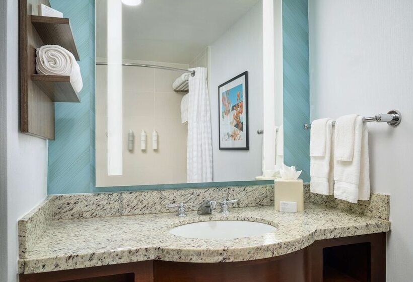 Suíte Júnior, Hilton Garden Inn Atlanta Midtown