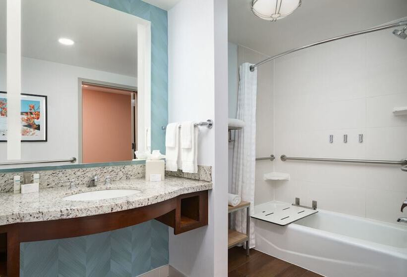 Quarto Estandar para Deficientes Físicos, Hilton Garden Inn Atlanta Midtown