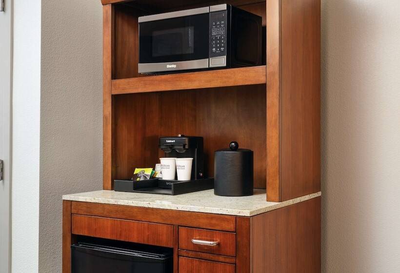 Quarto Estandar para Deficientes Físicos, Hilton Garden Inn Atlanta Midtown