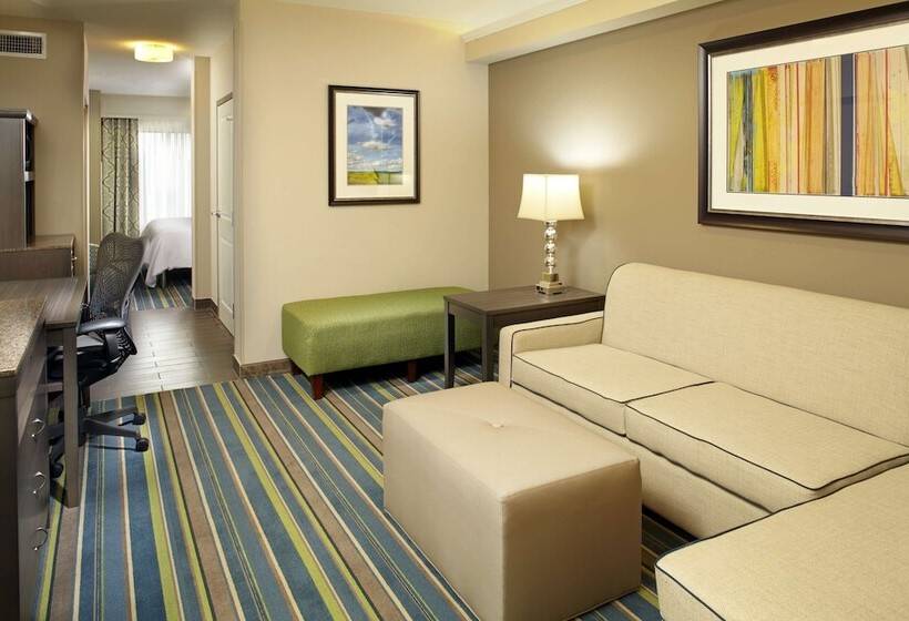 Люкс, Hilton Garden Inn Texarkana
