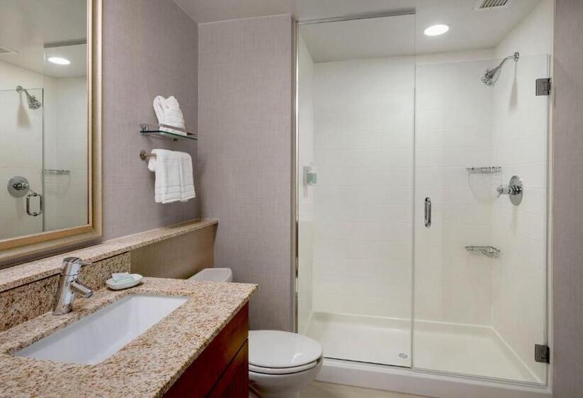 Люкс 2 Спальни, Residence Inn By Marriott Fairfax City