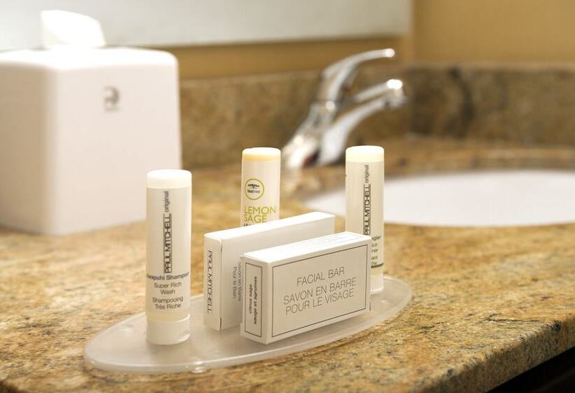 스위트, Towneplace Suites Bridgeport Clarksburg