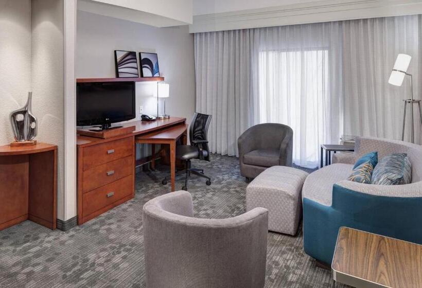 Студио Стандарт Кровать Кинг, Courtyard By Marriott Birmingham Trussville