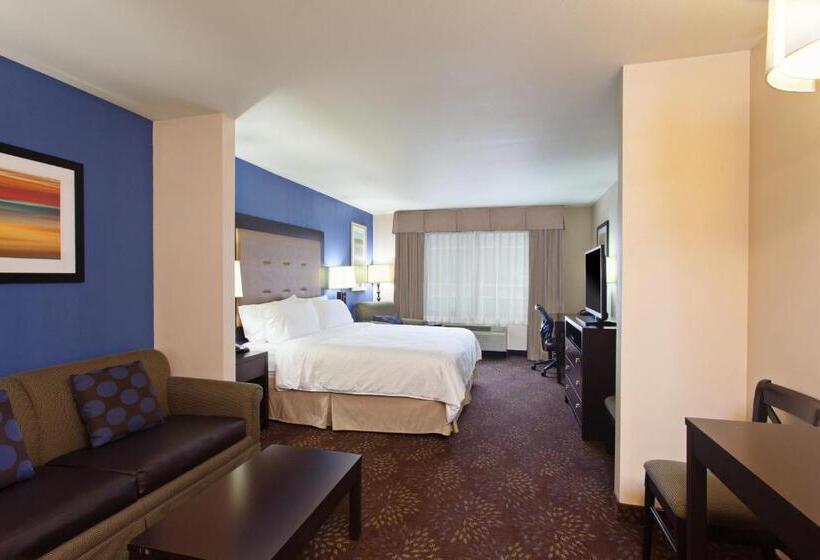 带大床的套房, Holiday Inn Express & Suites Tacoma Downtown, An Ihg