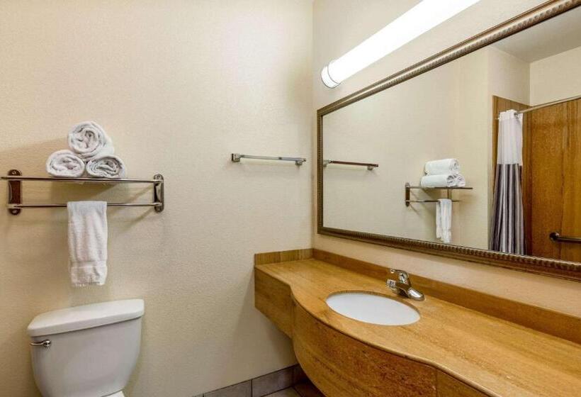 Номер Deluxe Кровать Кинг, La Quinta By Wyndham Dodge City