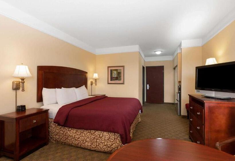 Номер Стандарт Кровать Кинг Адаптированный для Инвалидов, La Quinta By Wyndham Dodge City