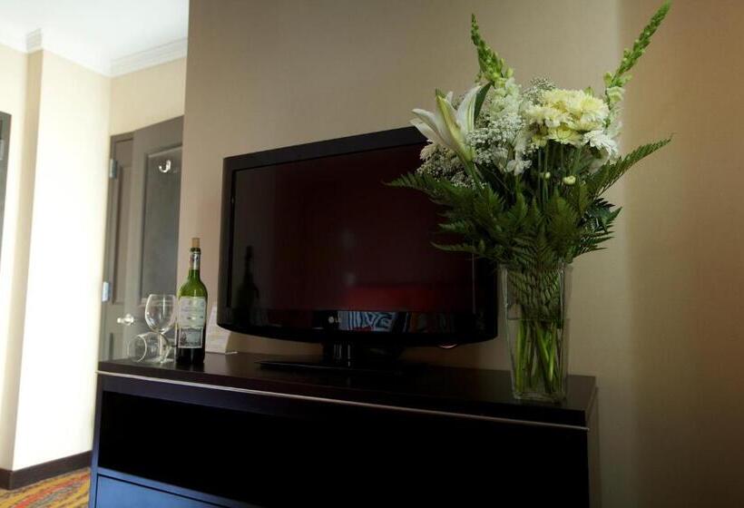 اتاق استاندارد, Nesva Hotel   New York City Vista