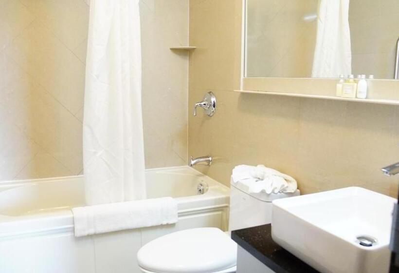 اتاق استاندارد, Nesva Hotel   New York City Vista