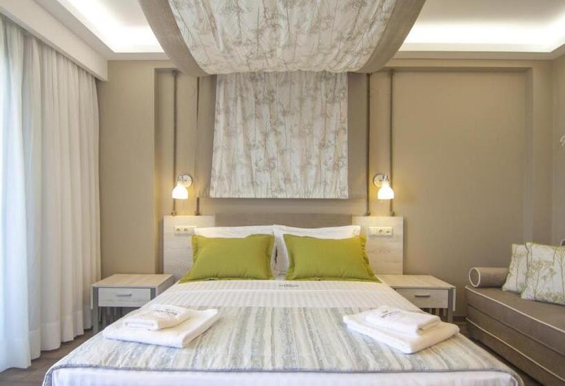 이그제큐티브 룸, Ntinas Filoxenia Hotel & Spa