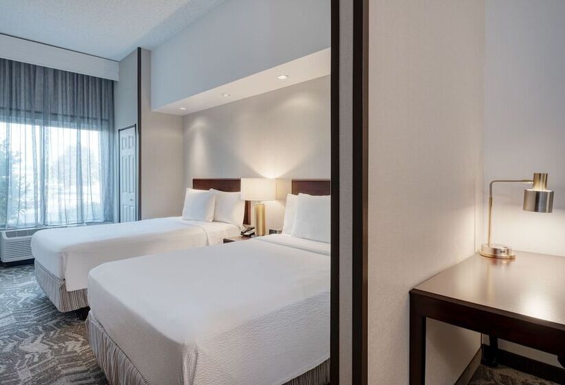 Люкс, Springhill Suites Terre Haute