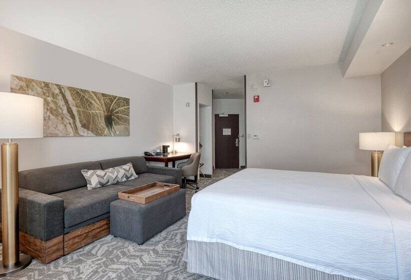 Люкс, Springhill Suites Terre Haute
