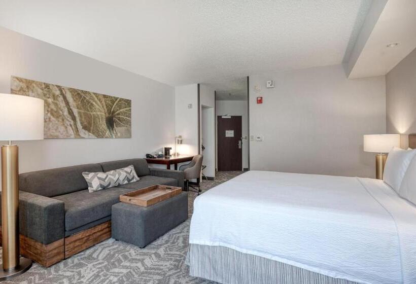 Люкс Кровать Кинг, Springhill Suites Terre Haute