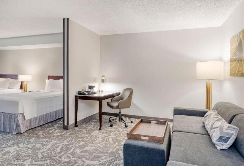 Люкс, Springhill Suites Terre Haute