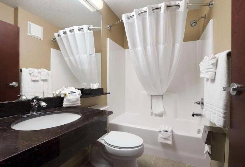 Студия Стандарт, Sonesta Essential Gonzales Tx