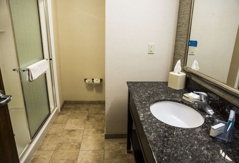 Номер Стандарт Двуспальная Кровать, Hampton Inn & Suites Lake Placid