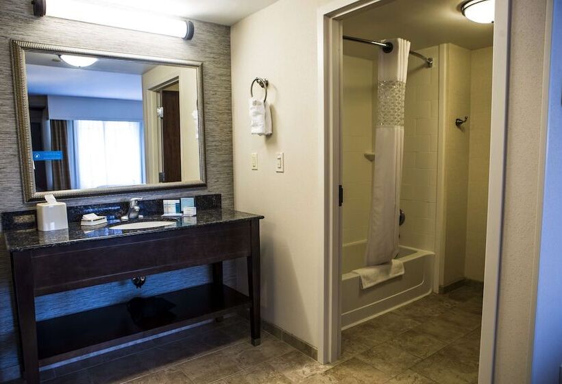 Студия Стандарт Двуспальная Кровать, Hampton Inn & Suites Lake Placid