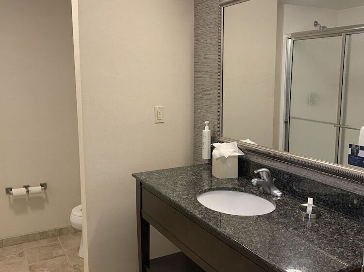 Номер Стандарт Двуспальная Кровать, Hampton Inn & Suites Lake Placid