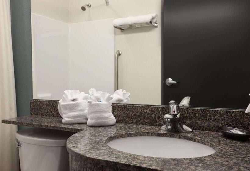 标准间, Microtel Inn & Suites Wilkes Barre