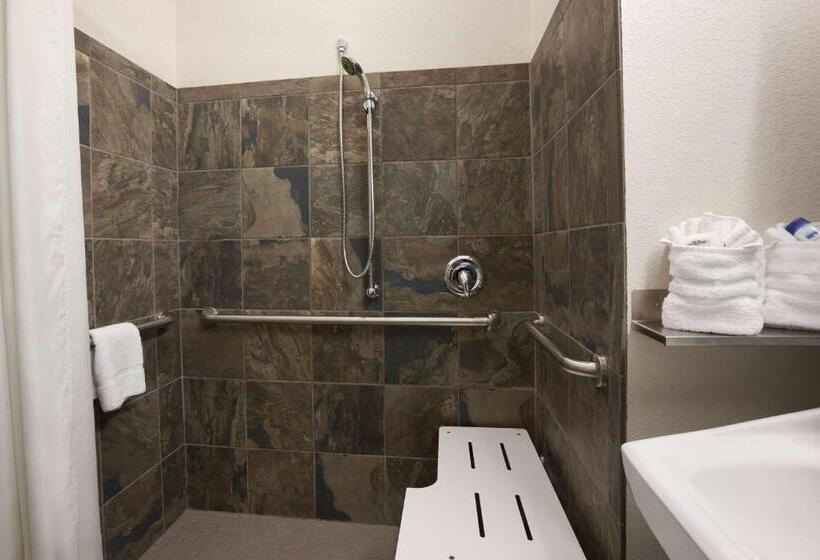适合残疾人士使用的高档房间, Microtel Inn & Suites Wilkes Barre