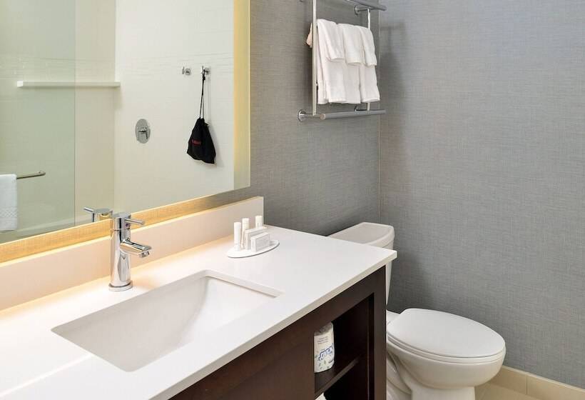 Люкс 2 Спальни, Residence Inn By Marriott Des Moines Downtown