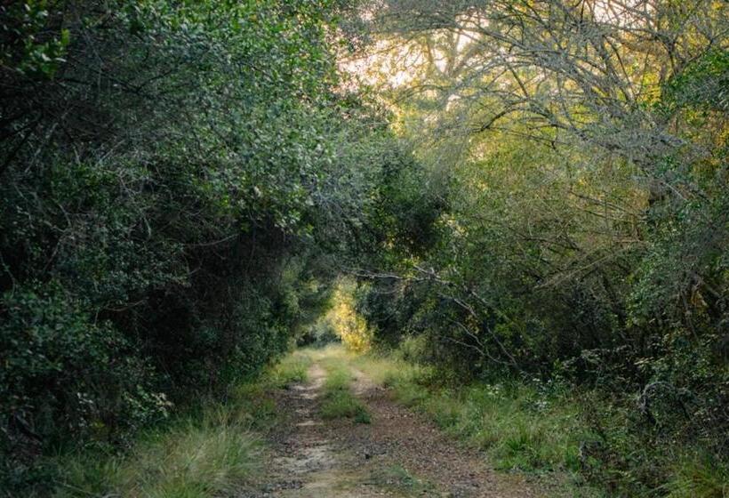 اتاق استاندارد با چشم‌انداز باغ, Forest Harmony