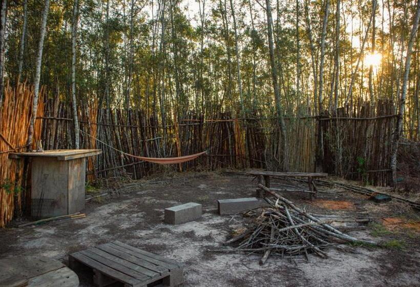 اتاق استاندارد, Forest Harmony