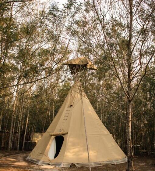 اتاق استاندارد, Forest Harmony