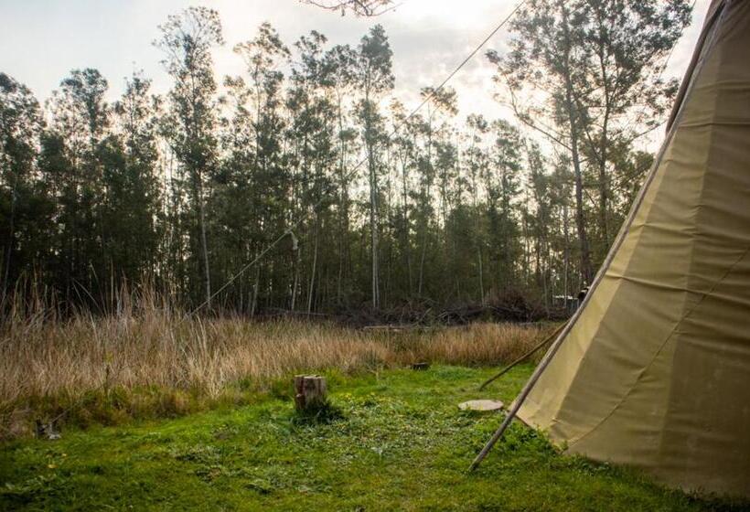 اتاق استاندارد اینتریور, Forest Harmony