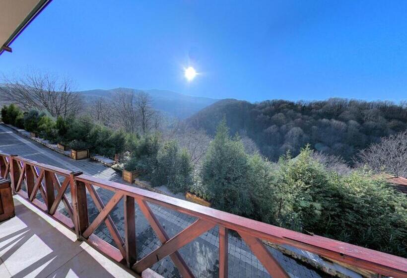 اتاق سوپریور, The Canyon Kartepe And Restoran