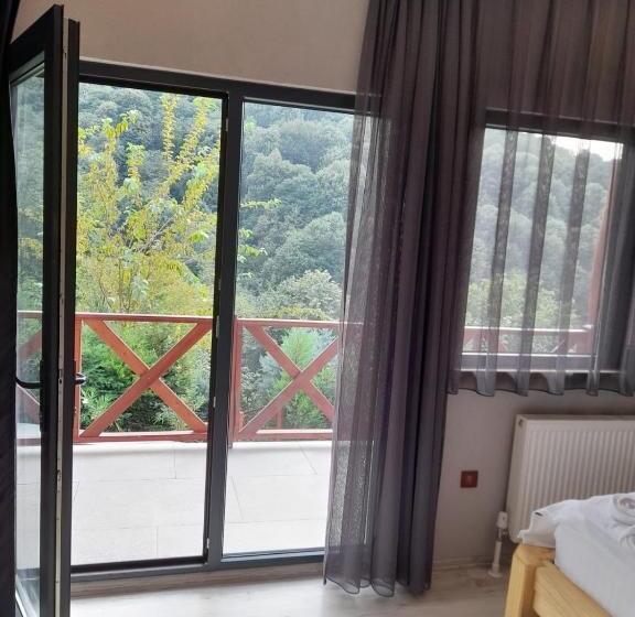 اتاق سوپریور, The Canyon Kartepe And Restoran
