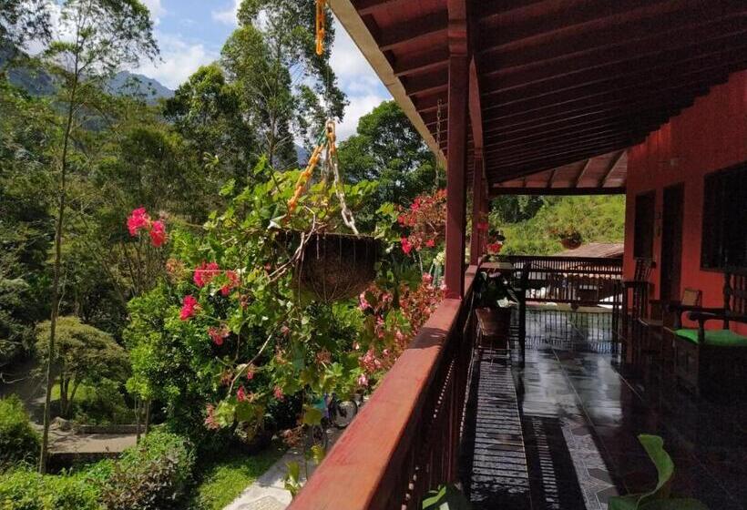 基本三人间, Orillas Del Pizano