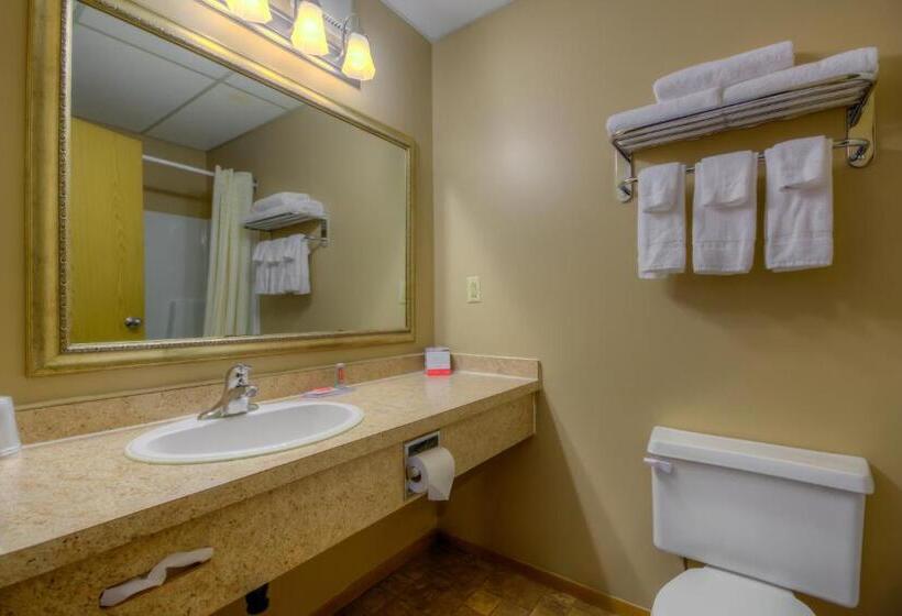 Номер Стандарт, Econo Lodge