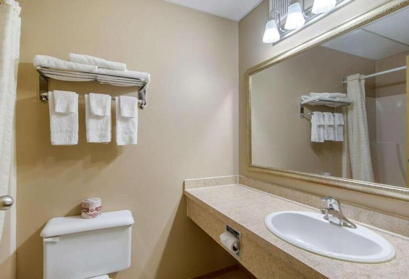 Номер Стандарт, Econo Lodge