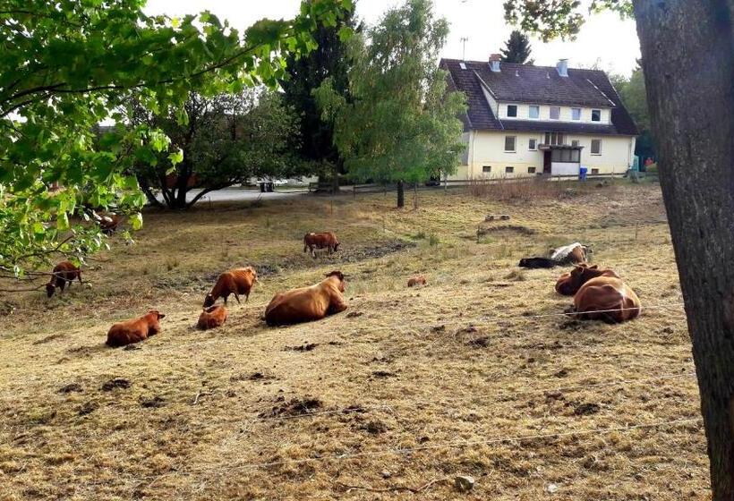 침실 1개 테라스 아파트, Garni Am Hochwald