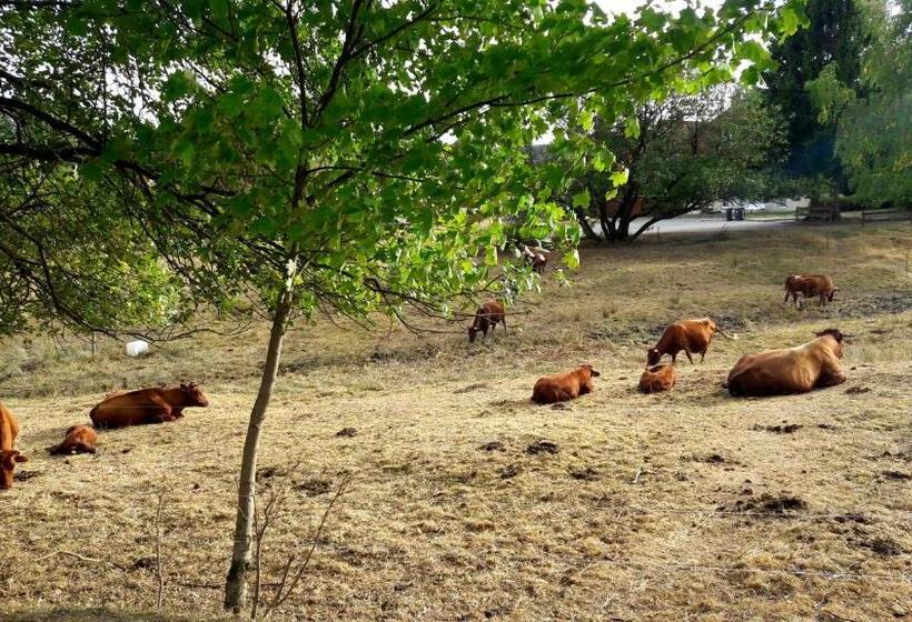 발코니가 있는 4인용 스탠다드 룸, Garni Am Hochwald