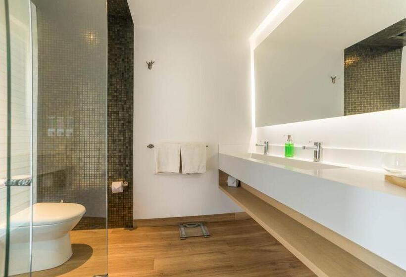 스위트, Biohotel Organic Suites