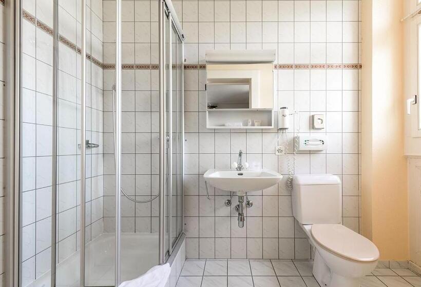 Номер Стандарт, Grand Hôtel Des Rasses & Wellness