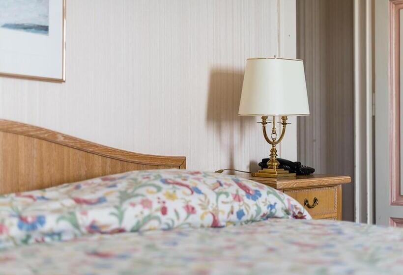 Полулюкс, Grand Hôtel Des Rasses & Wellness