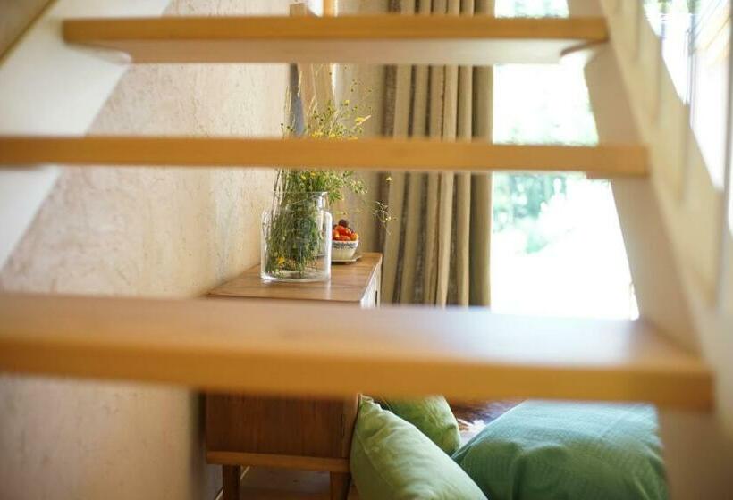 سوییت با چشم‌انداز کوه, Agriturismo Fattoria Togonegro