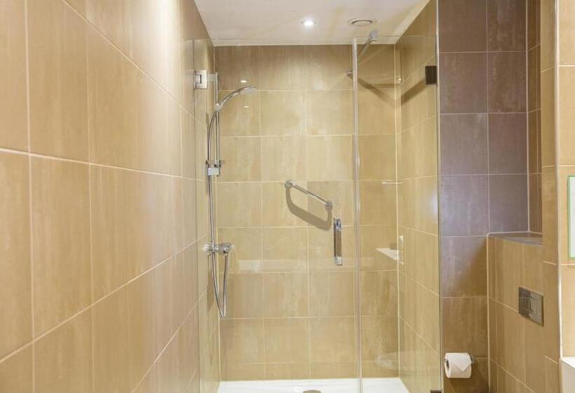 带观景的标准间, Holiday Inn Amsterdam   Arena Towers, An Ihg
