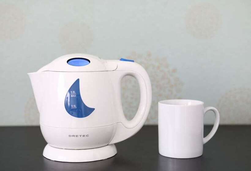 스탠다드 싱글 룸, Wing International Himeji