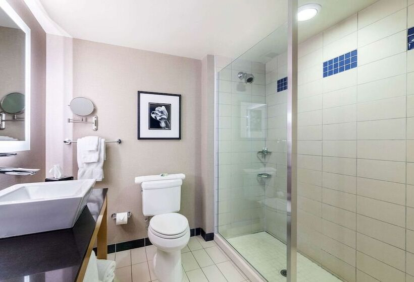 سوییت, Cambria Hotel Pittsburgh   Downtown