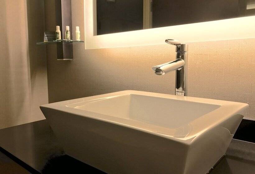سوییت, Cambria Hotel Pittsburgh   Downtown