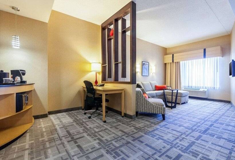 سوییت, Cambria Hotel Pittsburgh   Downtown